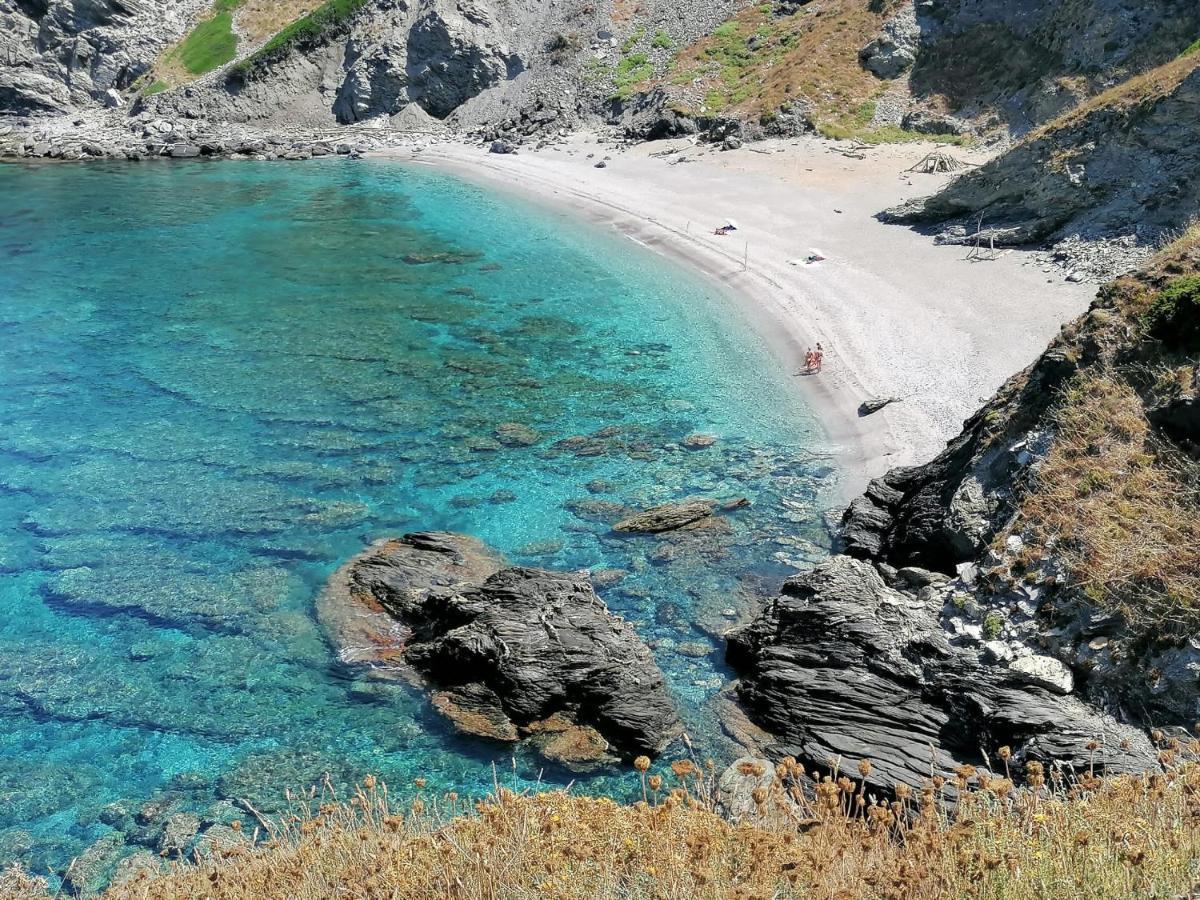 Le Palme Holidays Apartamento