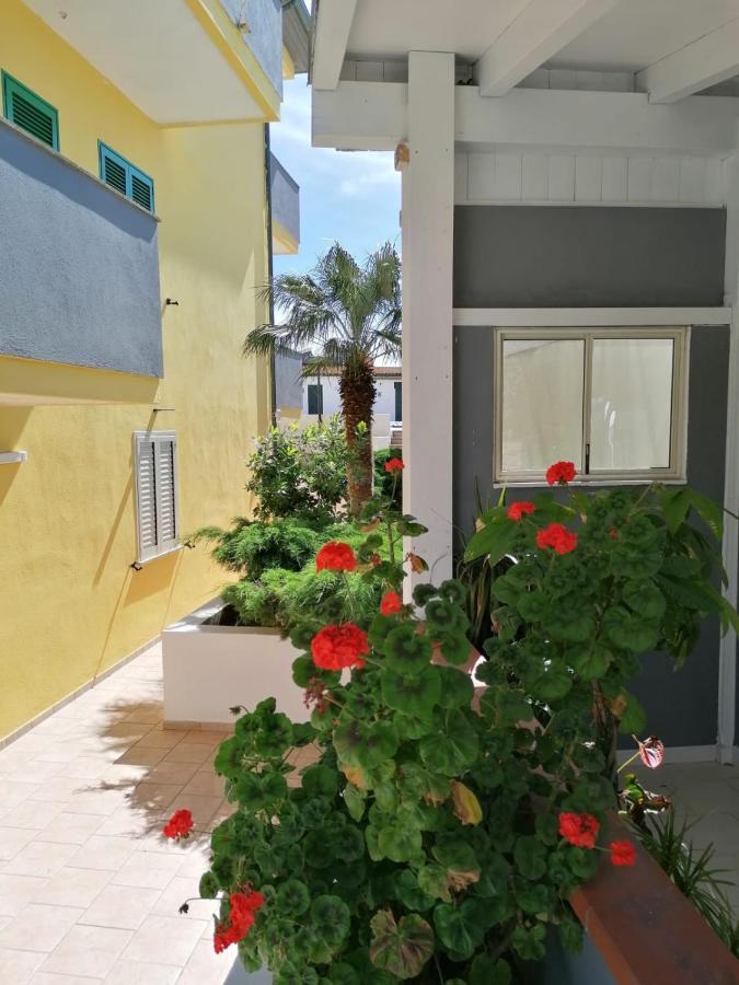 Le Palme Holidays Palmadula