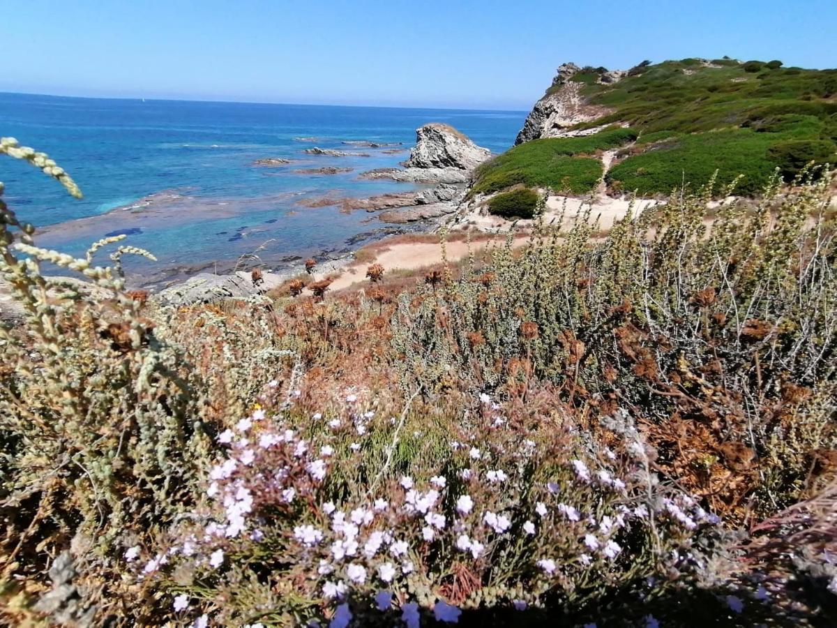 Le Palme Holidays *