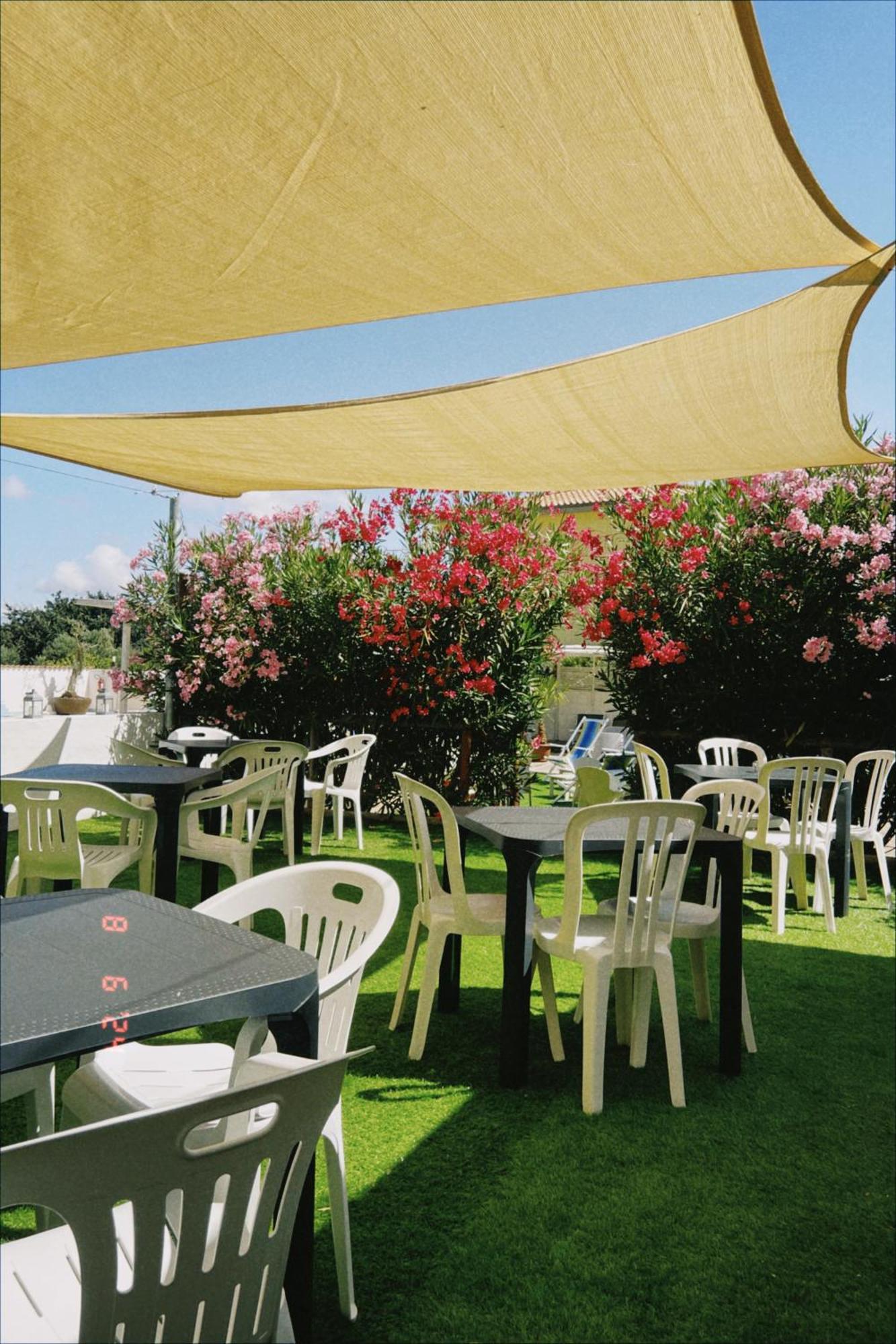 Apartment Le Palme Holidays