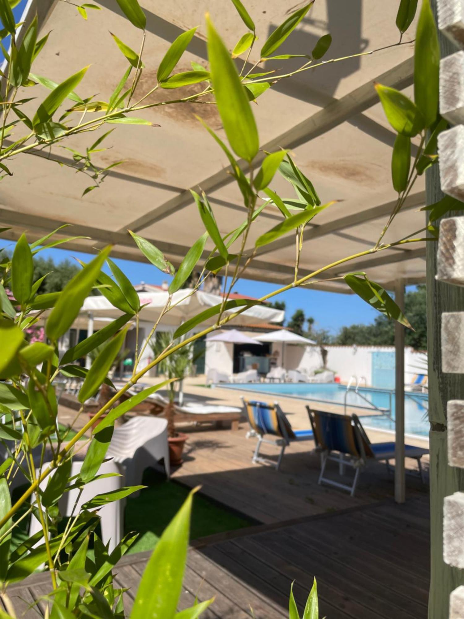 Le Palme Holidays Palmadula