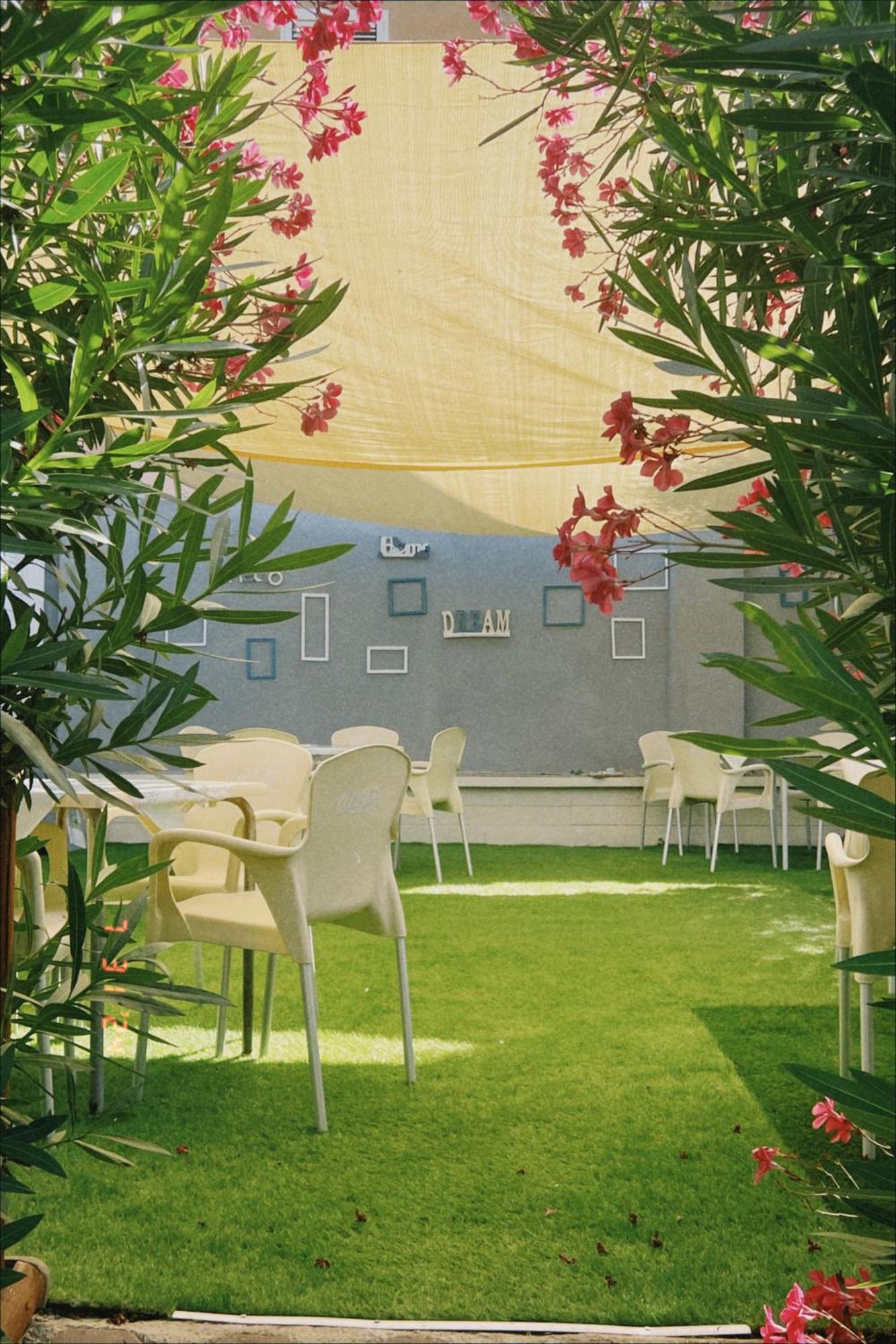 Apartment Le Palme Holidays