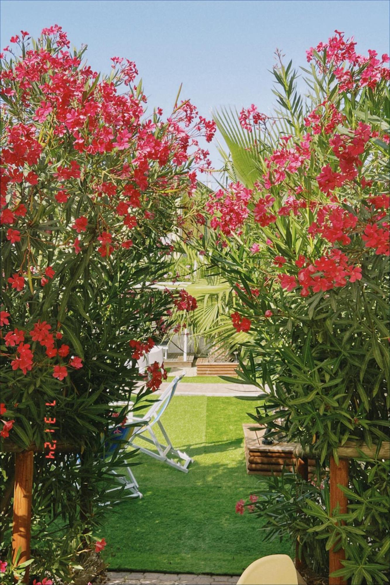 Apartment Le Palme Holidays Palmadula